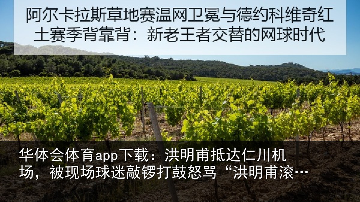 华体会体育app下载：洪明相关情况现场相关情况“洪明甫滚蛋”