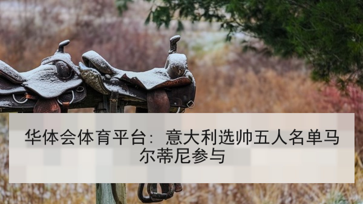 华体会体育平台: 意大利选帅五人名单马尔蒂尼参与